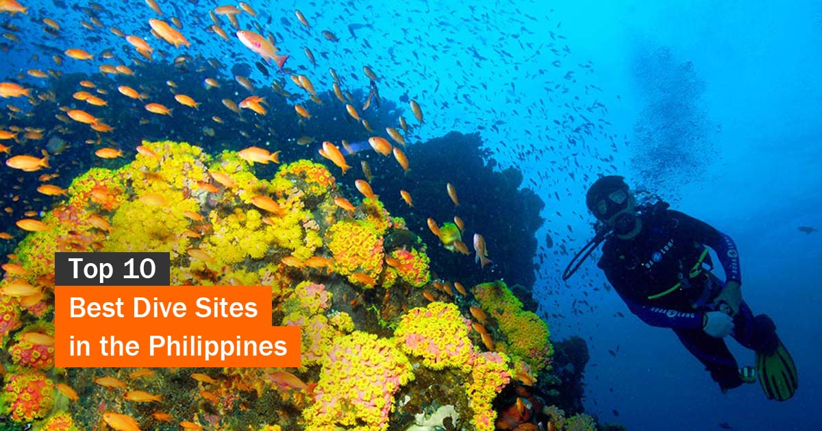 Top 10 Best Dive Sites in the Philippines Tourist Spots Finder