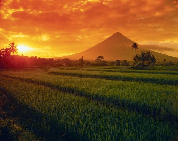 Mount Mayon