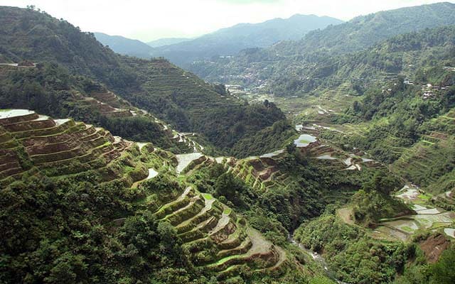 banaue rice terraces (3)