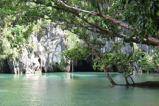 puerto princesa underground river featured image