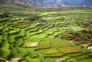 Top 10 Tourist Spots in Sagada