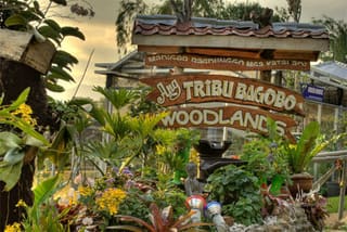 Tribu Bagobo Woodlands Resort