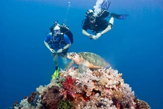 Tubbataha Reef - Top 10 Tourist Spots in Palawan