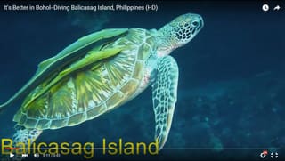 Balicasag Island Bohol