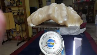 Image of Giant Pearl in Palawan Philippines Went Viral