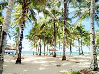 Palani Beach Masbate