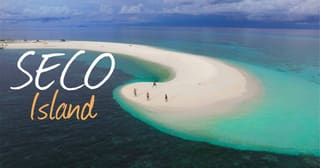 Seco Island Antique Image