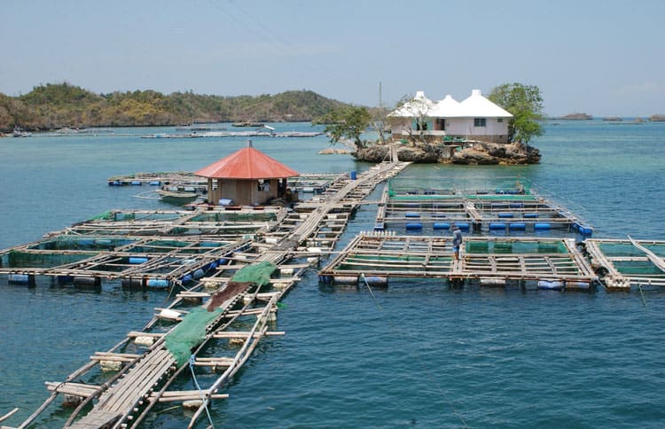 Southeast Asian Fisheries Development Center Guimaras