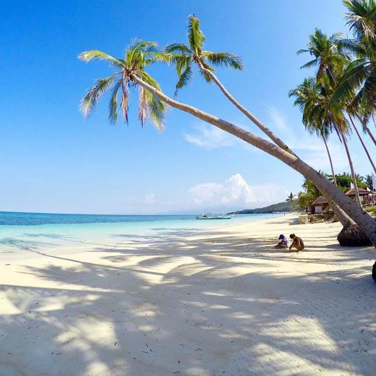 Carabao Island