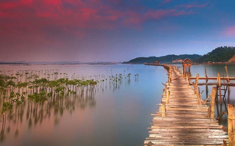 Pawa Mangrove Park