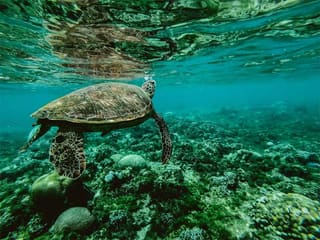 Places to See in Batangas