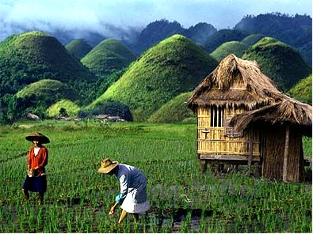 Chocolate Hills