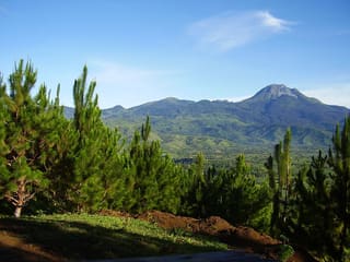 Mount Apo