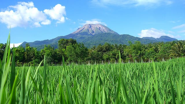 Mount Bulusan