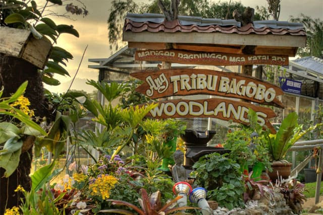 Tribu Bagobo Woodlands Resort