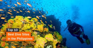 Top 10 Best Dive Sites in the Philippines
