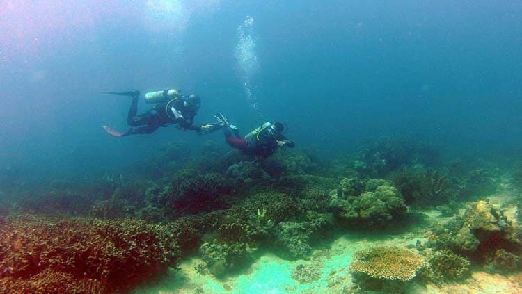 Diving in Agta Beach Resort Biliran