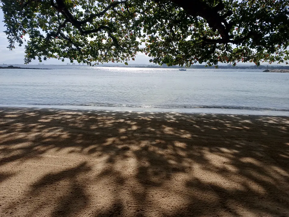 Tree shade over a beach on Samal Island, photographed in March 2024.