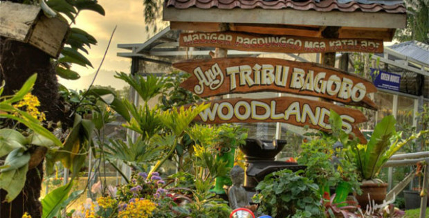 Tribu Bagobo Woodlands Resort